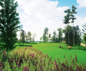 dao-kim-cuong-noi-dac-quyen-ca-nhan-cua-ban-duoc-ton-vinh-1
